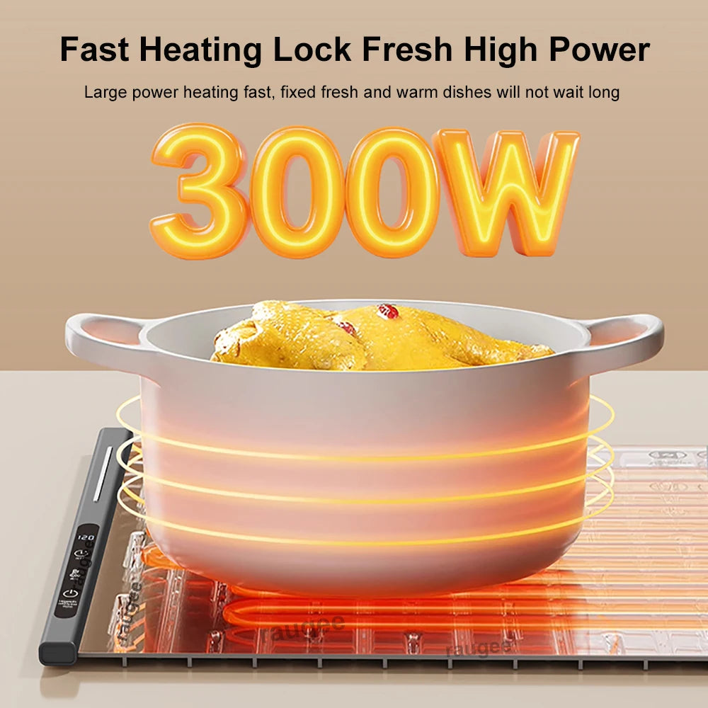 Electric Heating Plate